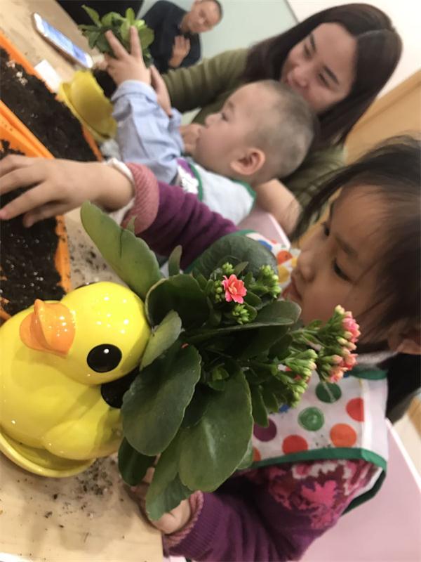 NYC紐約國際烏魯木齊早教中心：3.12植樹節(jié),寶寶們護綠好專注