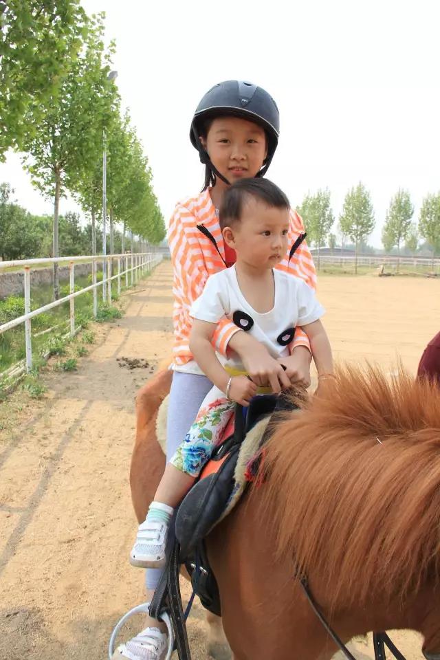 帥帥的馬兒，我們交個(gè)朋友吧