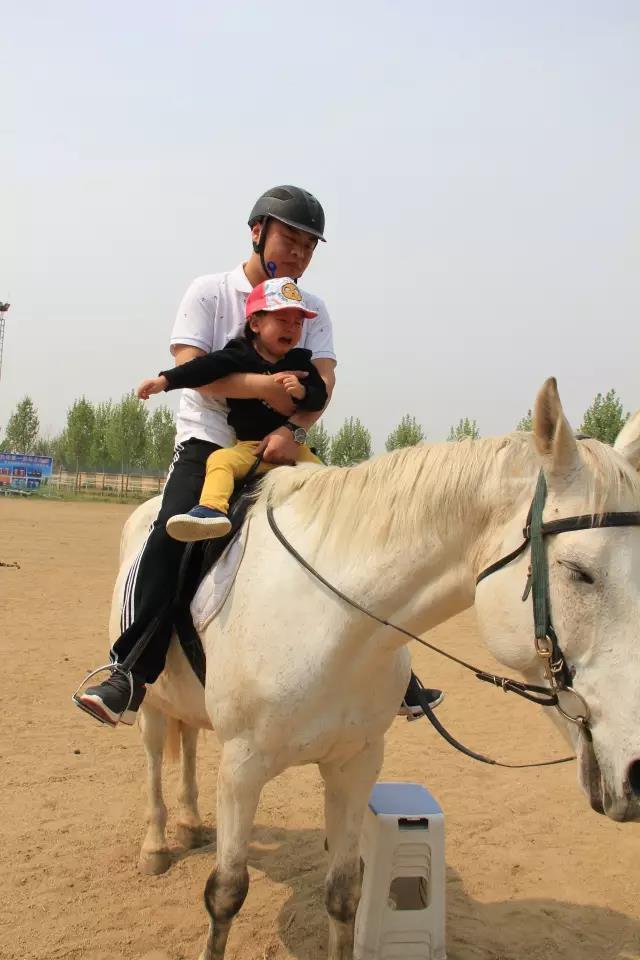 帥帥的馬兒，我們交個(gè)朋友吧