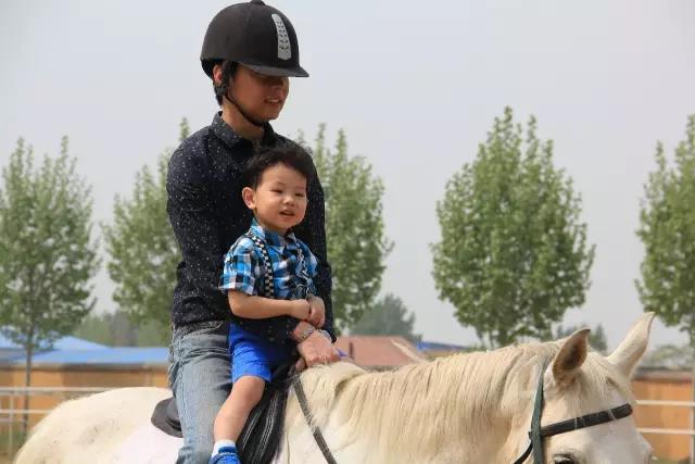 帥帥的馬兒，我們交個(gè)朋友吧