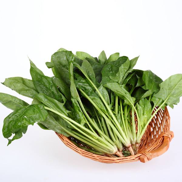 飲食營(yíng)養(yǎng),最適合寶寶吃的食物
