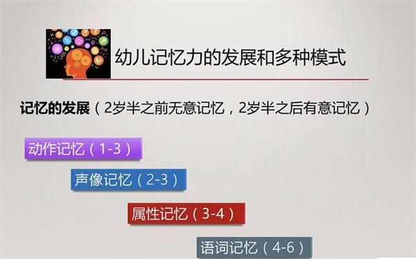 NYC紐約國際早教微課回顧：寶寶的記憶力需要被保護