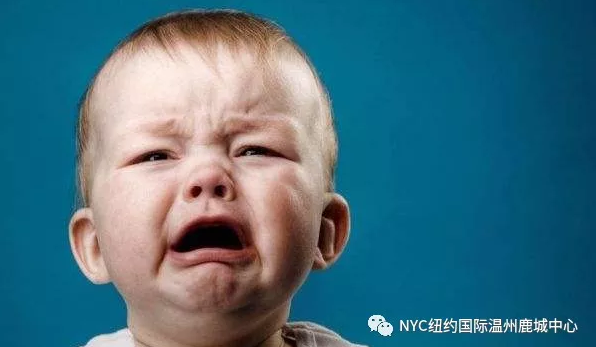 NYC紐約國(guó)際溫州鹿城早教中心正面管教預(yù)告