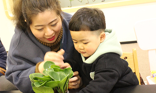 NYC紐約國際溫州鹿城早教中心植樹節(jié)回顧